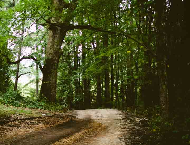 【行业专用版】深度优化的ddos压力测试网页端